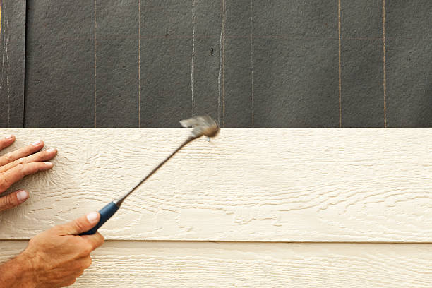 Best Custom Trim and Detailing for Siding  in Amity, OR